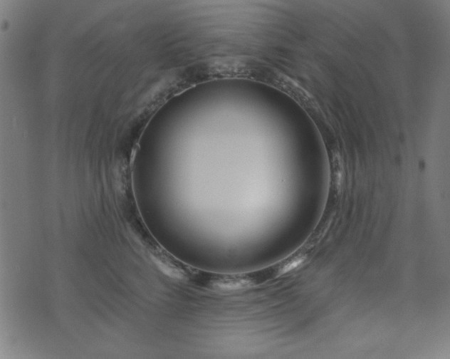 X0000073520712200607311224