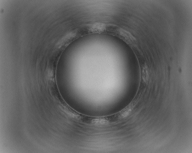 X0000073520714200607311224