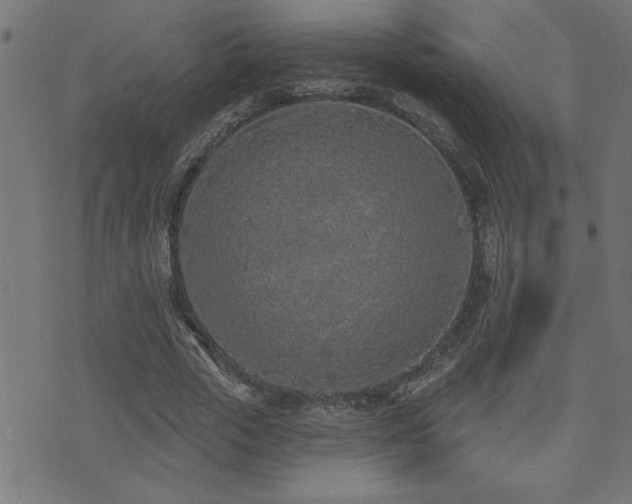 X0000073520729200607311223