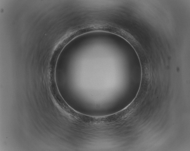 X0000073520730200607311223