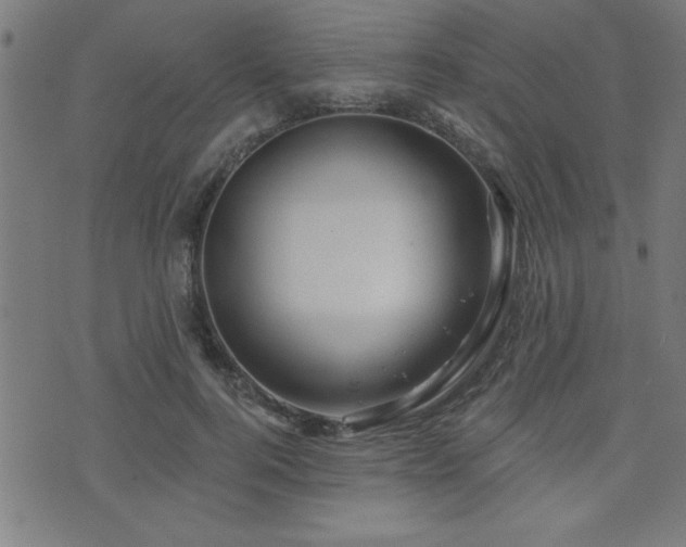 X0000073520744200607311223