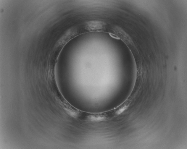 X0000073520763200607311224