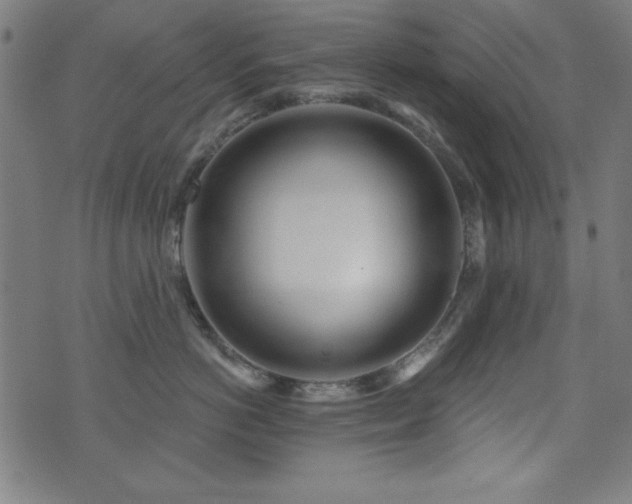 X0000073520766200607311224