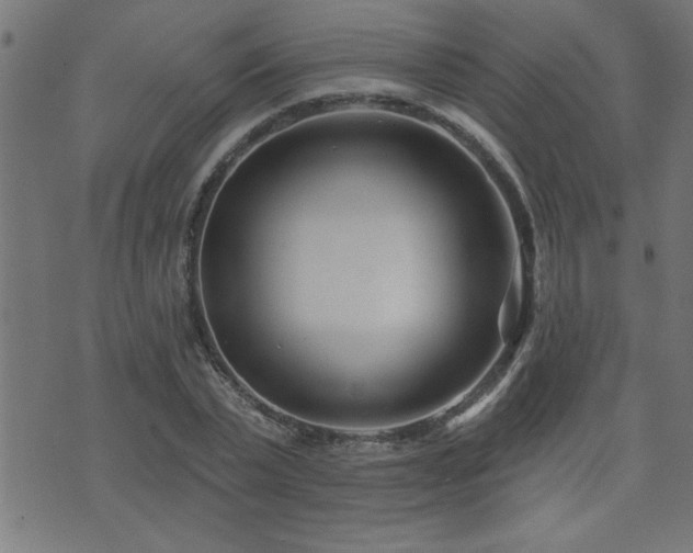 X0000073520783200607311223