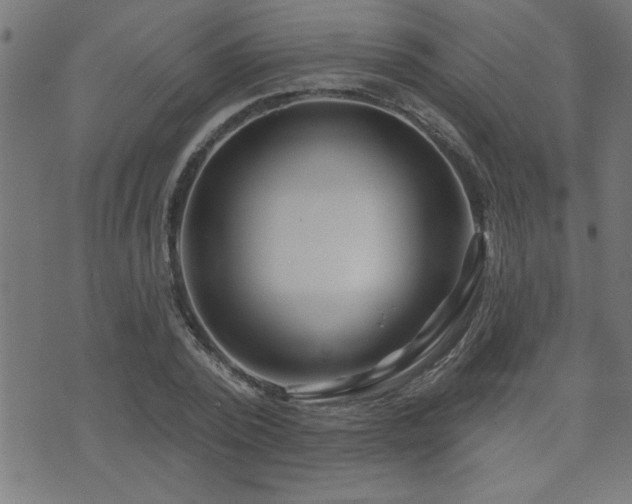 X0000073520784200607311223