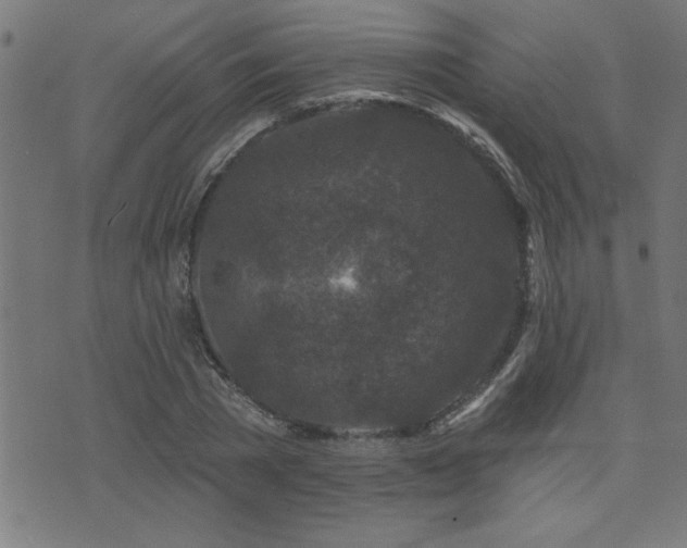 X0000073520785200607311223