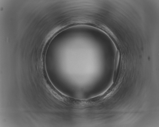 X0000073520787200607311223