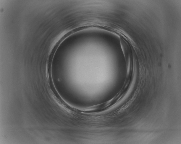 X0000073520788200607311223