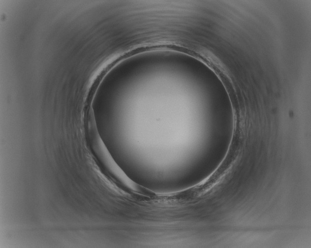 X0000073520789200607311223
