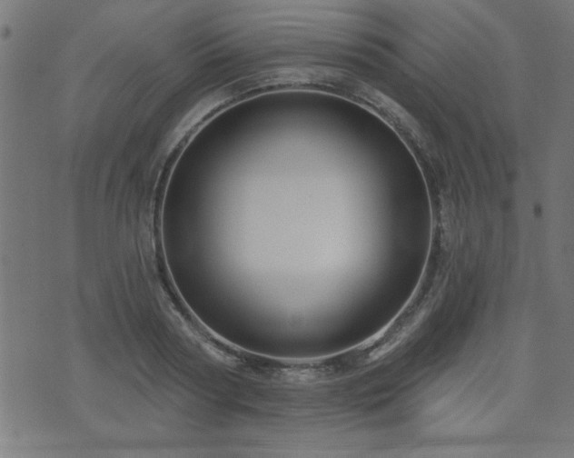 X0000073520794200607311222