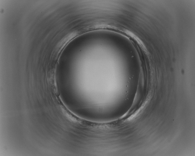X0000073520801200607311222