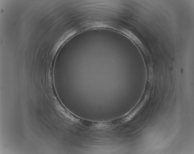 X0000073520806200607311222