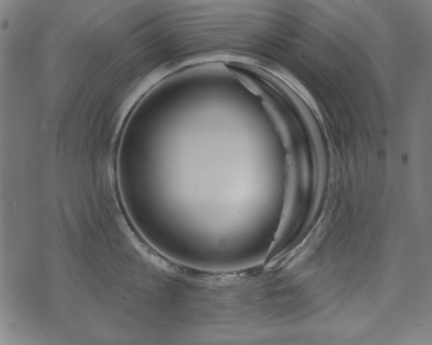 X0000073520813200607311222