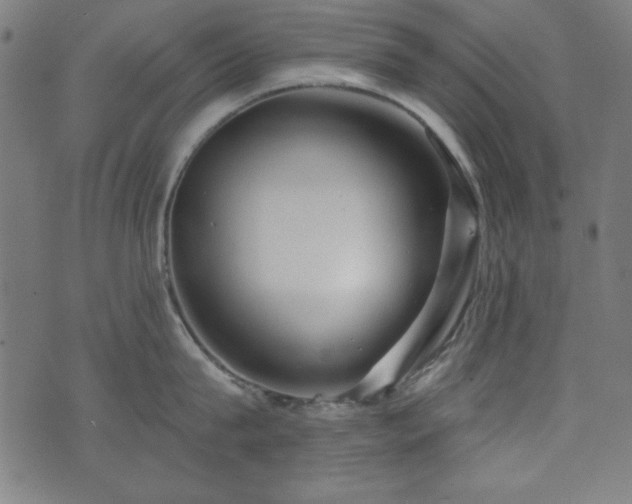 X0000073520815200607311222