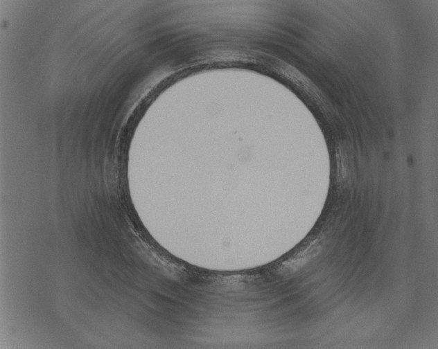 X0000073520828200607311222