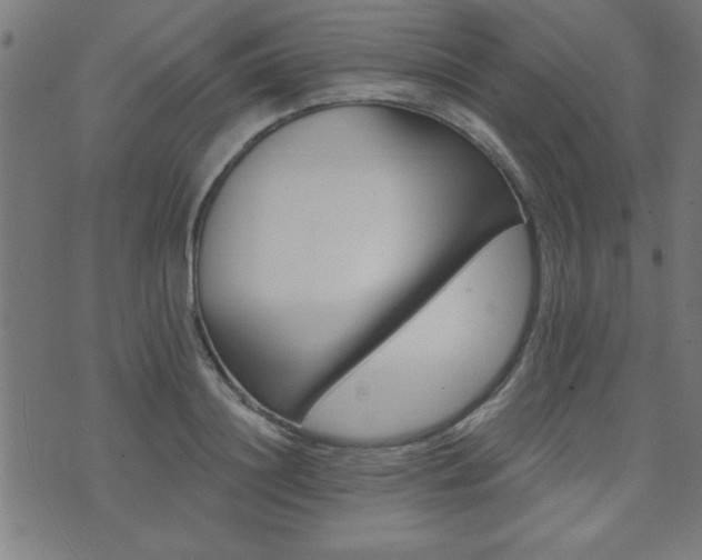 X0000073520844200607311222
