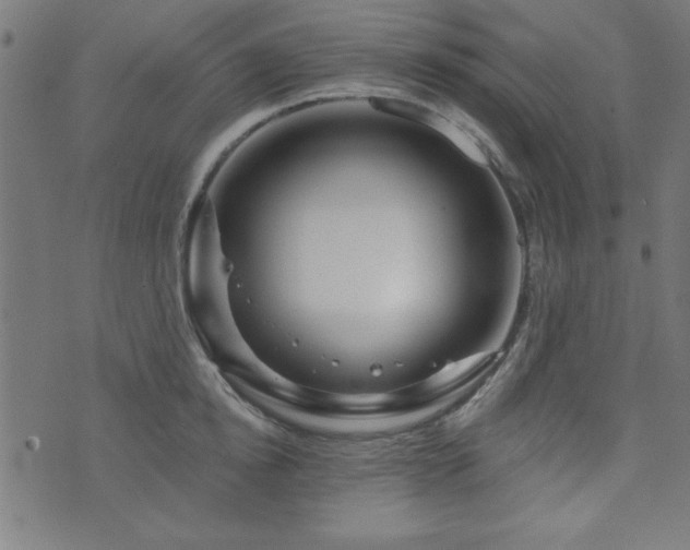 X0000073520854200607311222