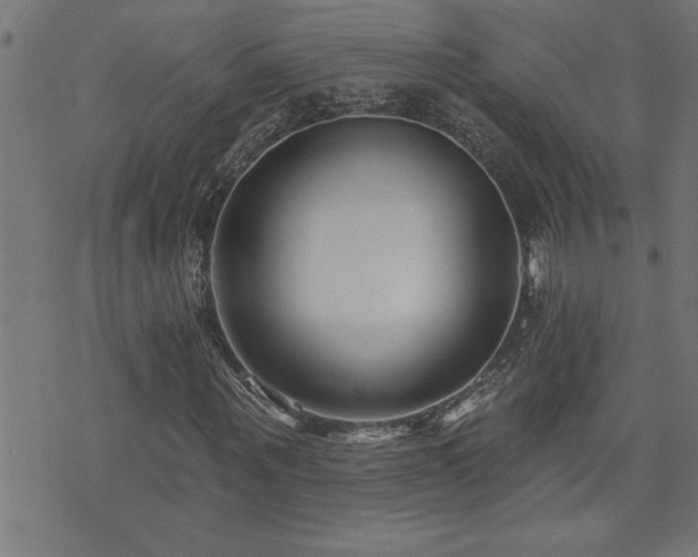 X0000073520867200607311221