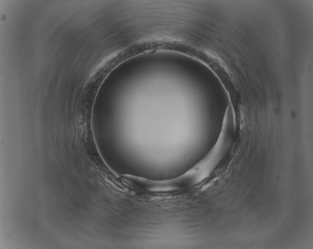 X0000073520872200607311221