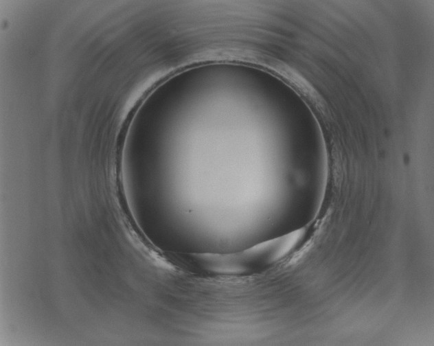 X0000073520896200607311221