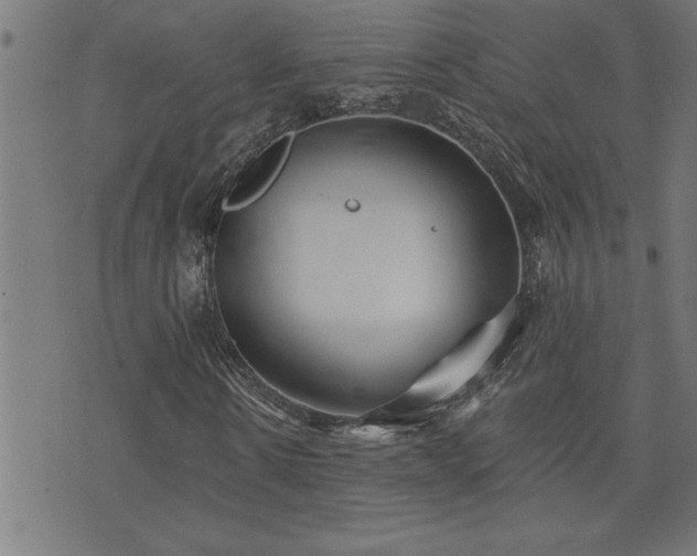 X0000073520914200607311220