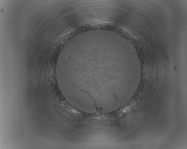 X0000073520917200607311220