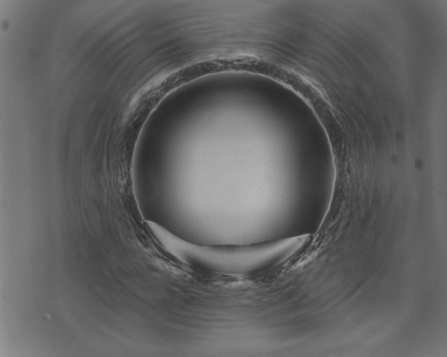 X0000073520920200607311220