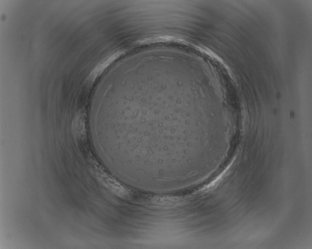 X0000073520921200607311220