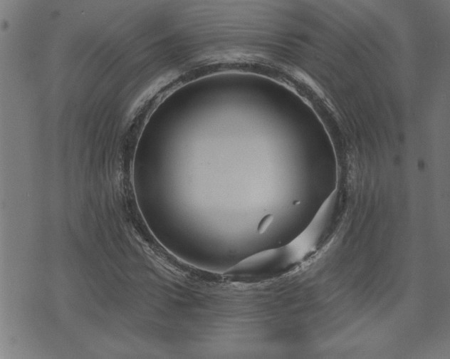 X0000073520922200607311220