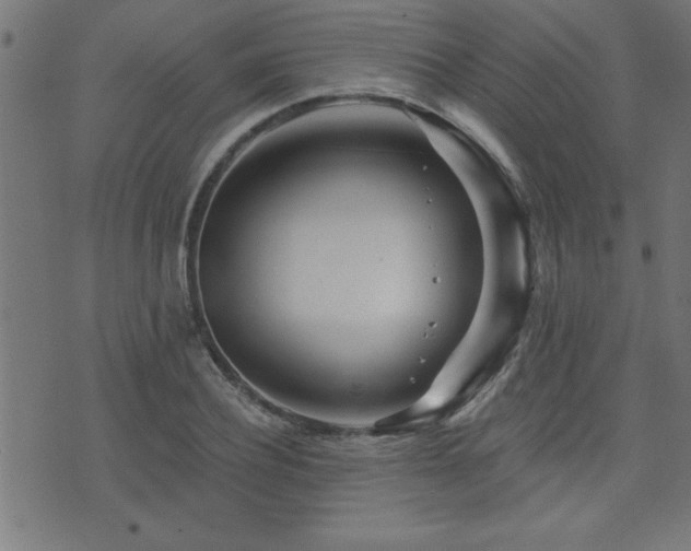 X0000073520932200607311220