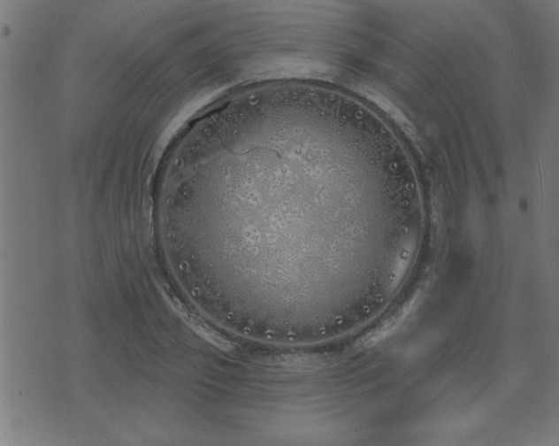 X0000073520933200607311220