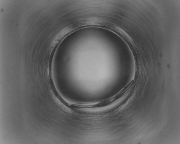 X0000073520938200607311220