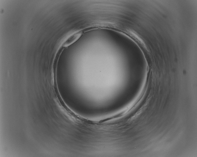 X0000073520940200607311220