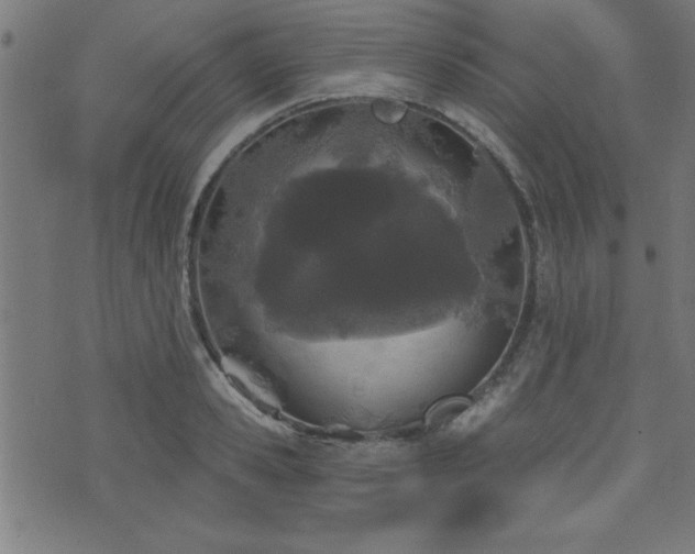 X0000073520941200607311220