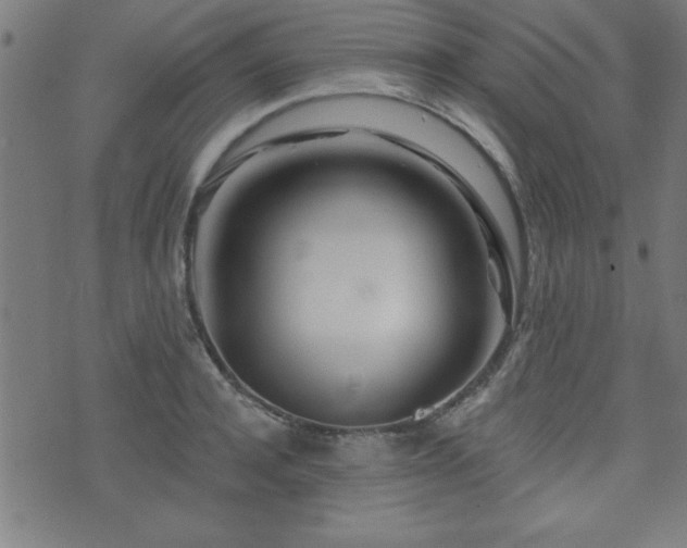 X0000073520944200607311220