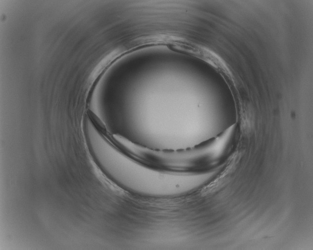 X0000073520946200607311220