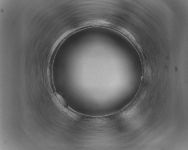X0000073520947200607311220