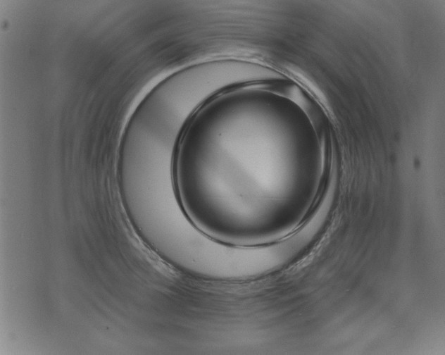 X0000073520948200607311220