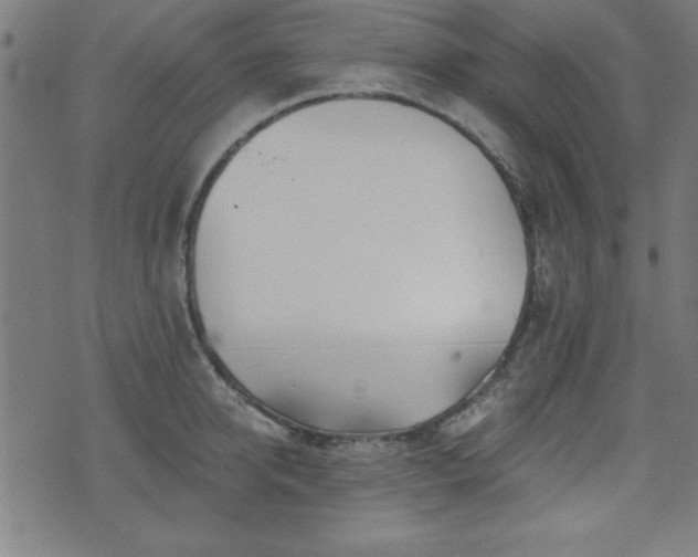 X0000073520950200607311220