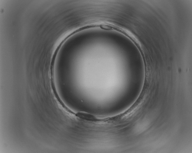 X0000073520951200607311220