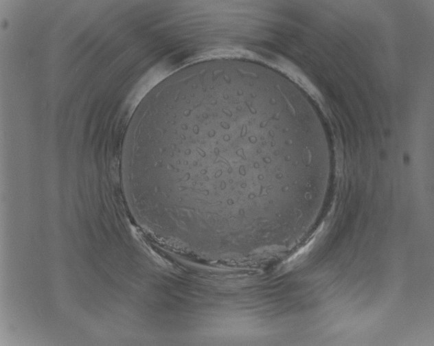 X0000073520953200607311220