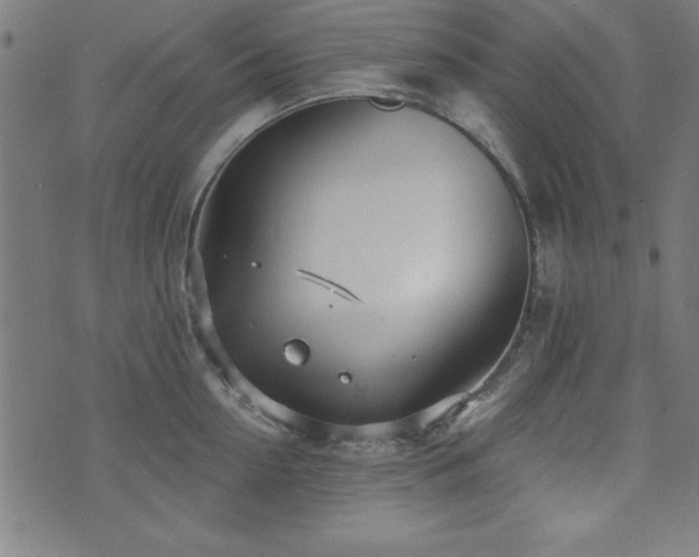 X0000073520954200607311220