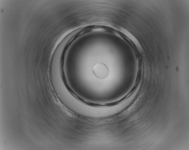 X0000073520956200607311220