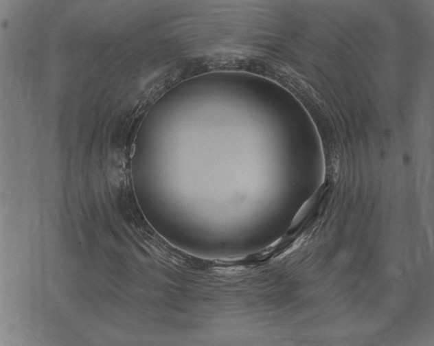 X0000073520964200607311220