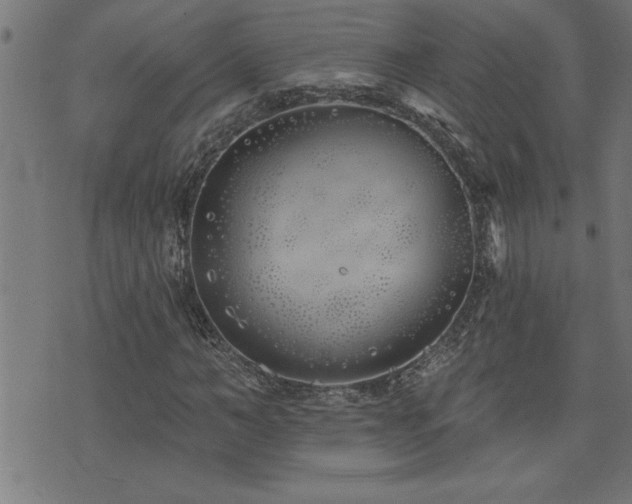 X0000073520966200607311220