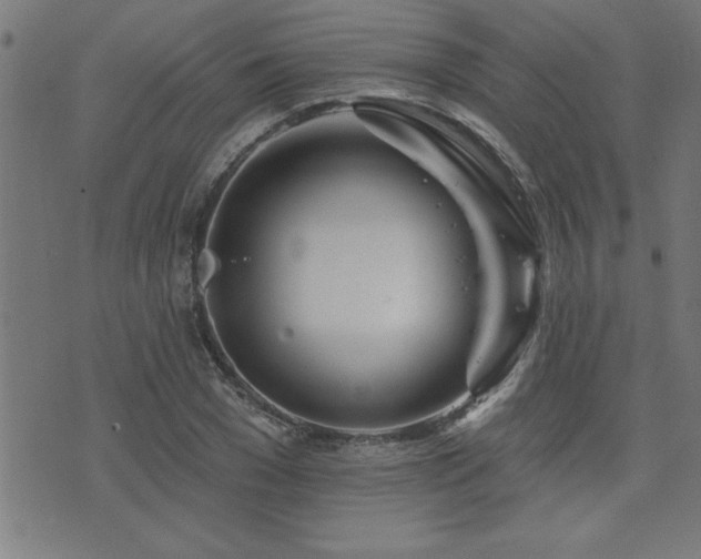 X0000073520977200607311219