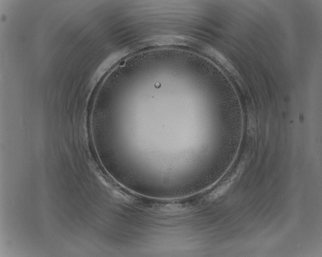 X0000073520986200607311219