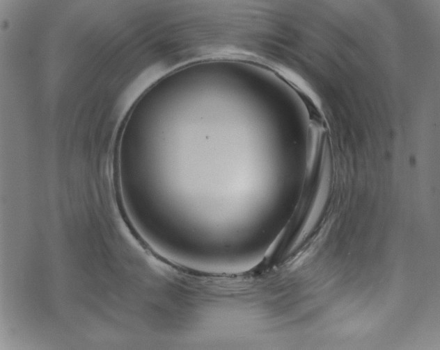 X0000073521007200607311219