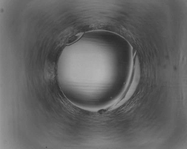 X0000073521012200607311218