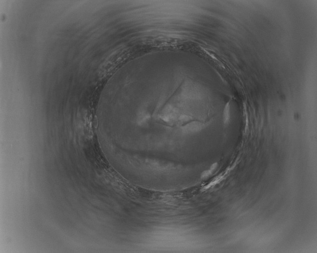 X0000073521013200607311218
